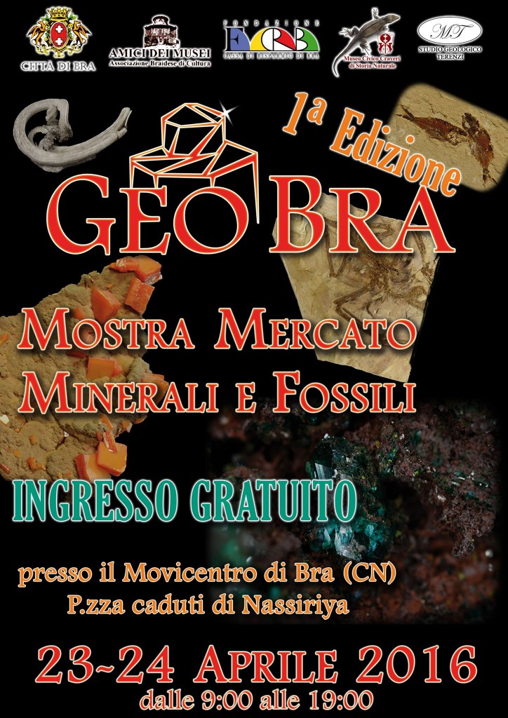 GeoBra Locandina