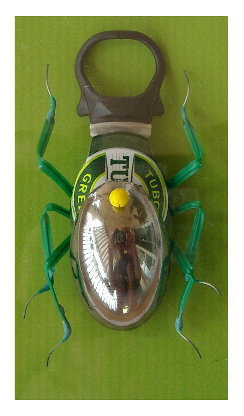 mostra_1_SAULO GUARNASCHELLI_CERVO VOLANTE dal 2009