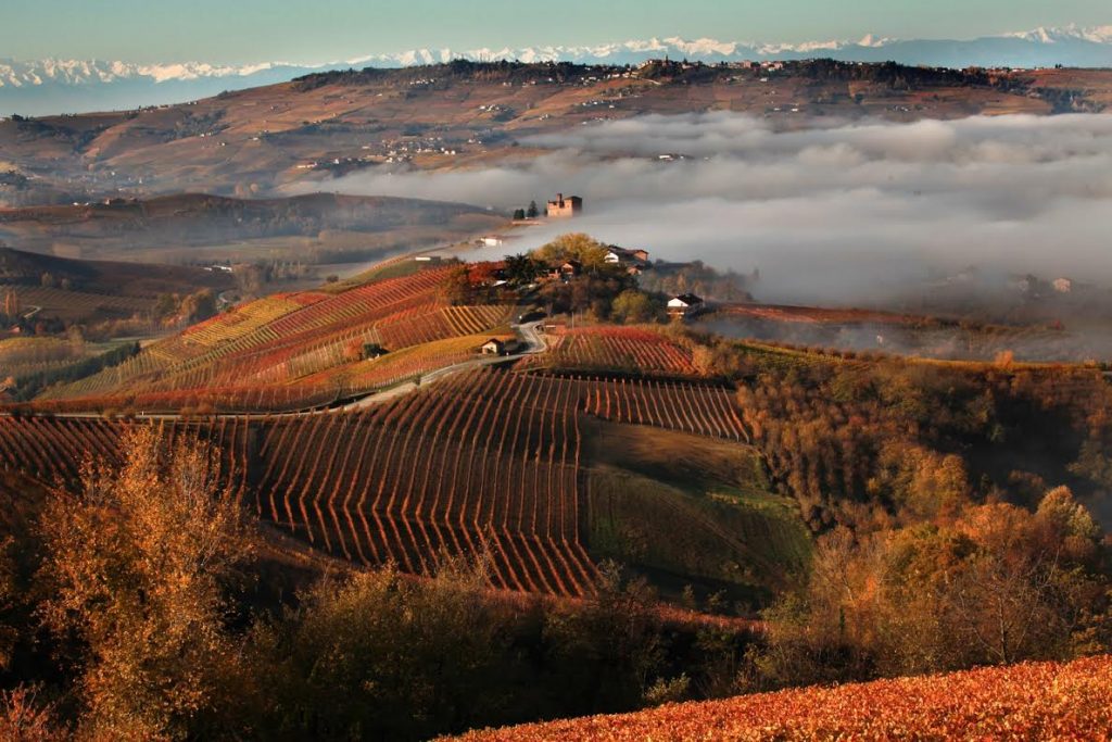 langhe roero