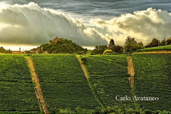 avataneo mostra roero Vigneti dominati dal castello di monteu