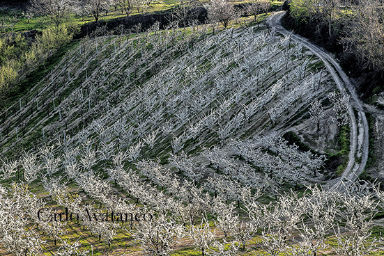 avataneo mostra (2)